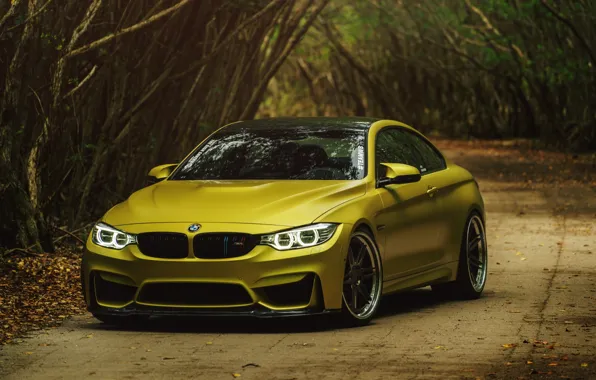 Bmw, gold, yellow, f82