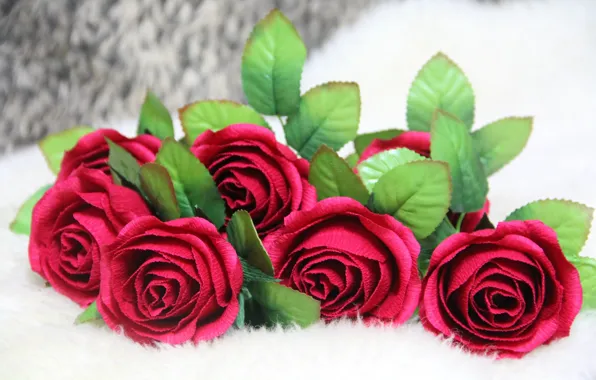 Flowers, background, roses