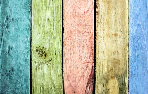 Color, tree, paint