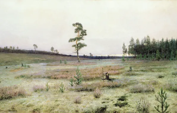 Tree, oil, Canvas, woods, Ivan ENDOGUROV, Mosses