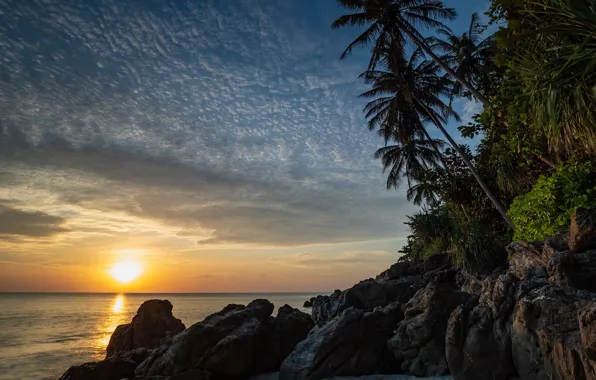 Sea, sunset, palm trees, coast, Thailand, Andaman Sea, The Andaman sea, Talend