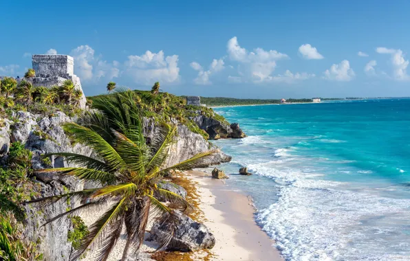 Picture sea, palm trees, shore, Caribbean, Tulum, Mexico