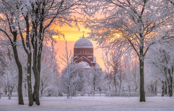 Picture winter, snow, trees, dawn, morning, Saint Petersburg, temple, Russia
