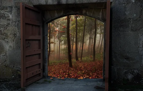 Picture autumn, forest, trees, nature, wall, gate, door, wall