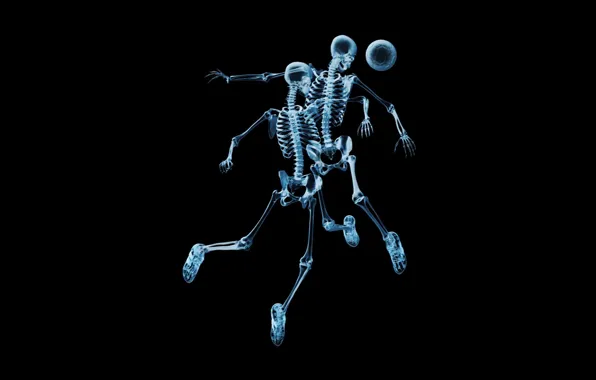 Football, the ball, x-ray, skeletons
