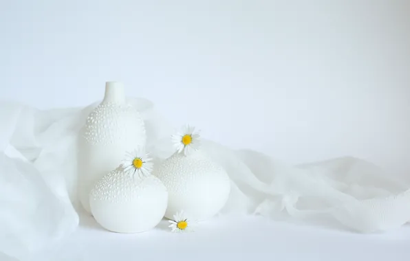 Flowers, background, chamomile