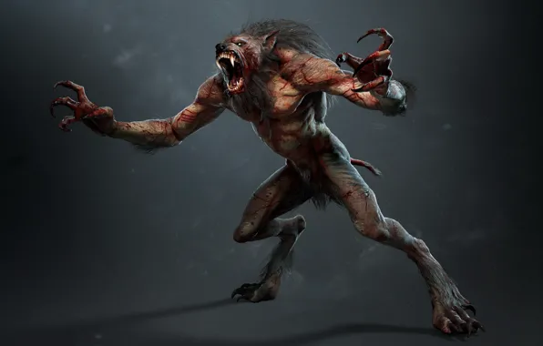 Picture monster, beast, werewolf, lycanthrope, werewolf, lycanthrope, lycan, The Witcher 3 Wild Hunt