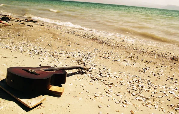 Picture SEA, SAND, GUITAR, SHORE, SHELL, ACOUSTICS