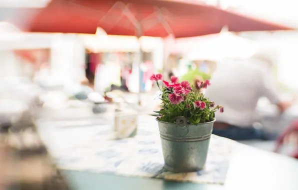 Flowers, background, bucket