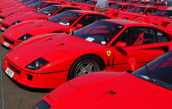 Red, Auto, Machine, Ferrari, Machine, Red, Ferrari, F40