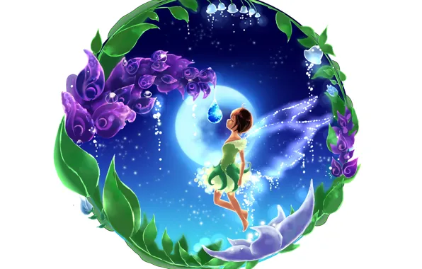 Flowers, tale, fairy