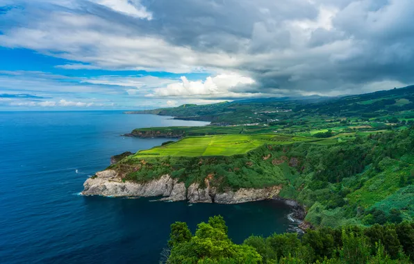 Sea, greens, forest, summer, clouds, trees, mountains, blue