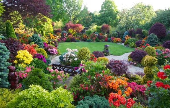 Picture wallpaper, nature, park