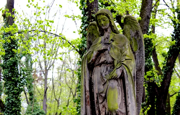 Prague, image, statue, Olšany cemetery