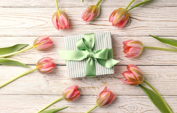 Flowers, gift, tulips, happy, March 8, pink, flowers, tulips