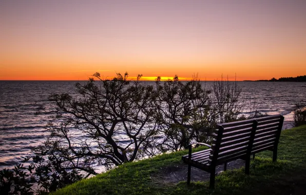 Picture sunset, shore, bench
