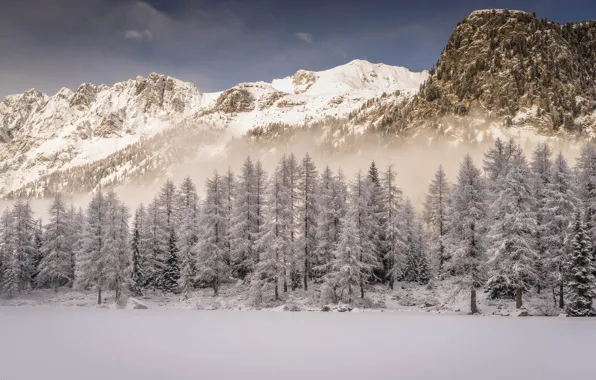 Winter, Mountains, Tree