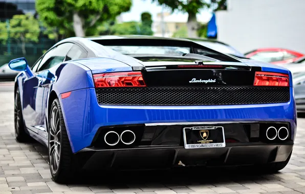 Picture Lamborghini, Lambo, Lamborghini, LP560, Lamborghini, Lamborghini Gallardo LP560-4