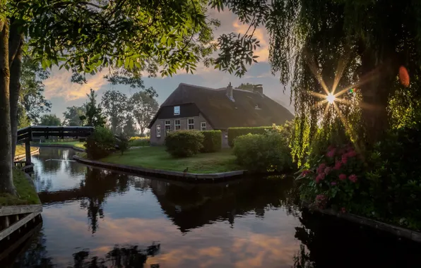 Summer, the sky, the sun, rays, light, trees, landscape, sunset