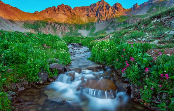 Picture summer, flowers, mountains, nature, lake, stones, stream, morning