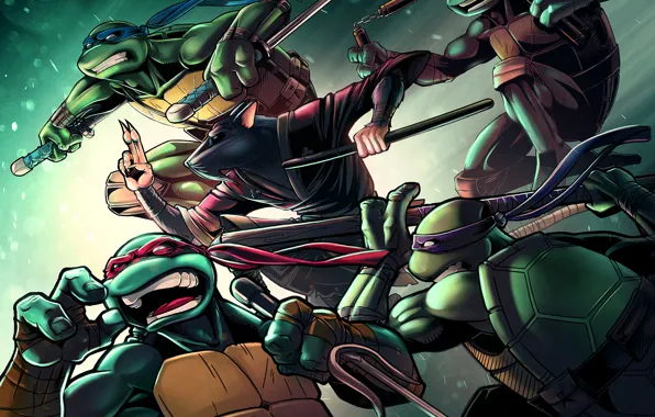 Picture turtle, rat, tmnt, mutant, Raphael, Leonardo, Donatello, Splinter