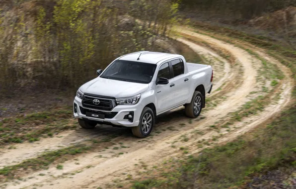 Picture road, white, Toyota, pickup, Hilux, shrub, Special Edition, 2019