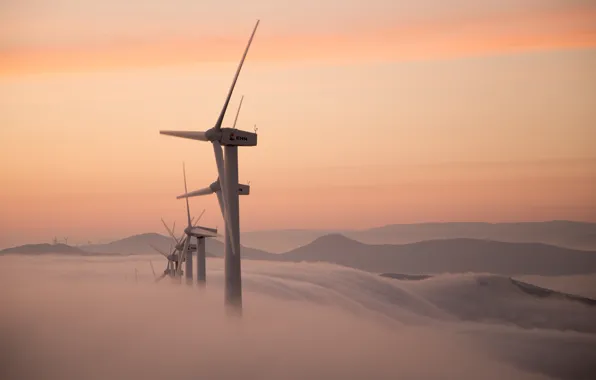 Picture fog, morning, windmills