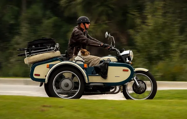 Background, man, dog, motorcycle, biker