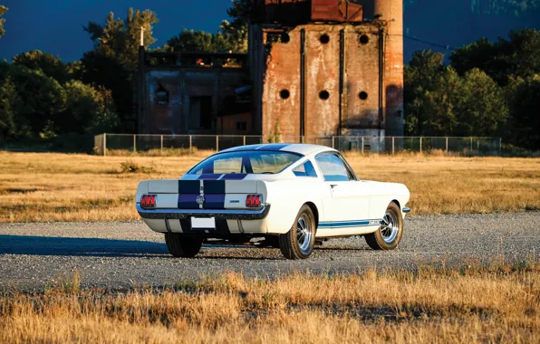 Mustang, Ford, Ford Mustang Shelby GT350, rear view, blue stripes