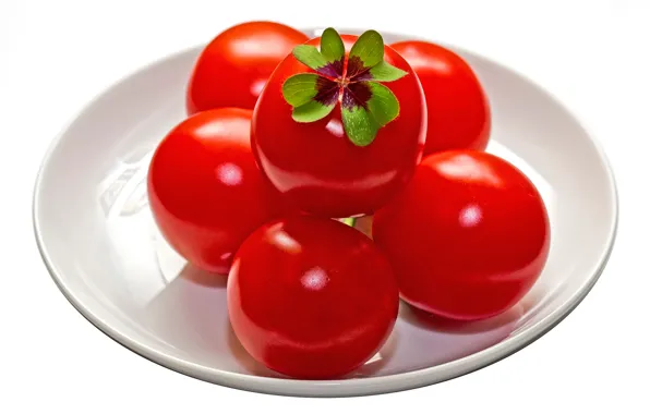 Picture background, tomatoes, tomatoes, Lucky tomatos