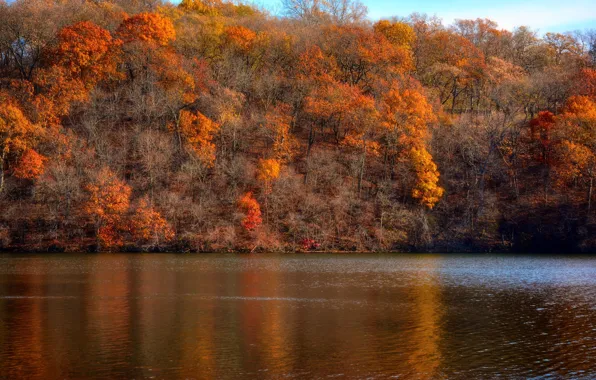 Picture autumn, forest, the sky, trees, lake, slope