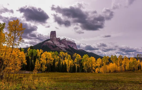 Picture field, autumn, forest, clouds, trees, mountains, clouds, overcast