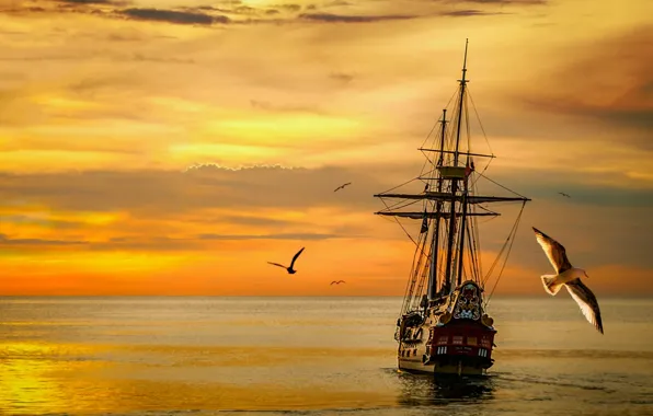 Sea, the sky, seagulls, sailboat, the evening