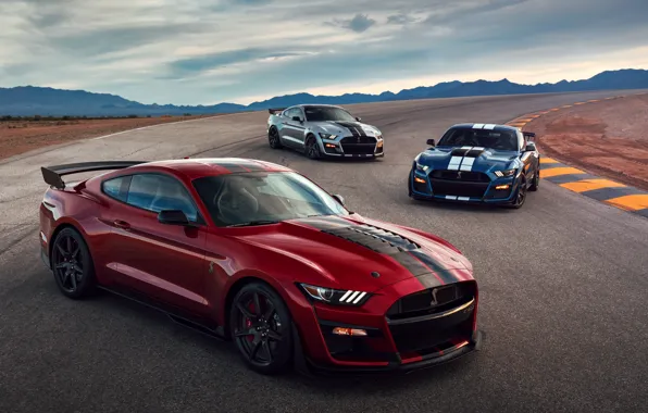 Mustang, Ford, Shelby, GT500, 2019