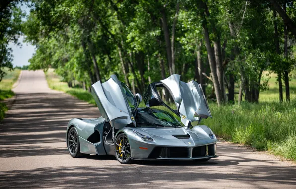 Silver, LaFerrari, Doors up