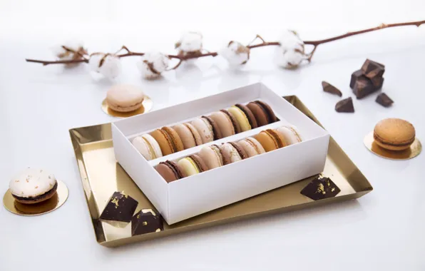 Chocolate, cotton, macaroon