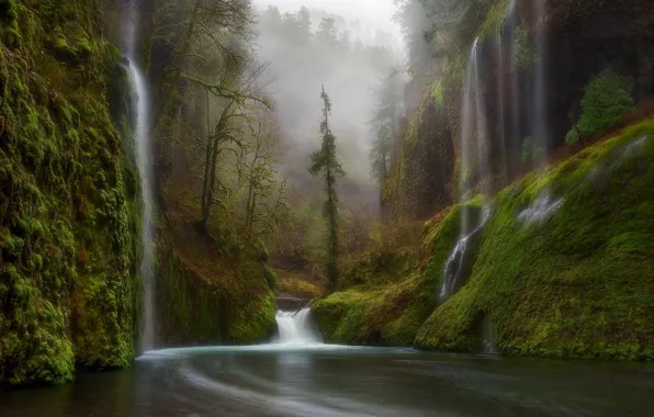 Forest, nature, river, waterfall, Oregon, USA