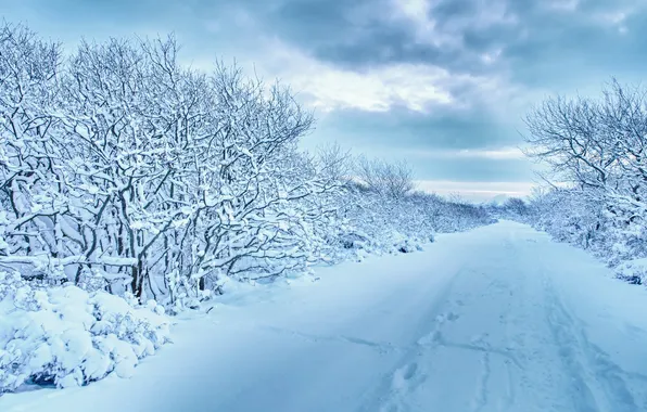 Picture winter, road, snow, landscape
