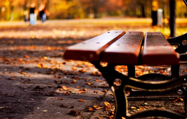 Autumn, leaves, macro, bench, nature, background, widescreen, Wallpaper