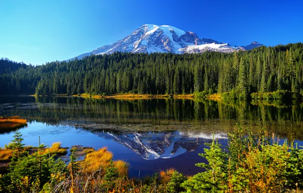 Autumn, forest, water, trees, mountains, lake, reflection, Mount Rainier National Park