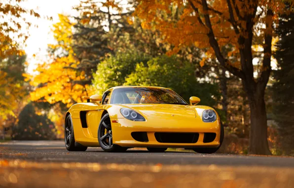 Picture Porsche, Porsche Carrera GT, front view