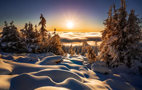 Winter, the sun, clouds, rays, snow, trees, landscape, nature