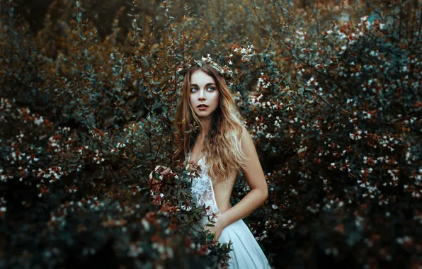Picture girl, mood, dress, wreath, the bushes, Valentina Knight