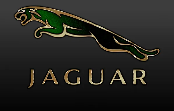 The inscription, logo, Jaguar, emblem, logo, jaguar, label