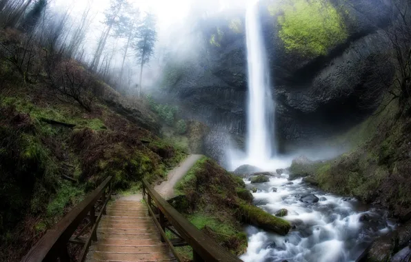 Picture bridge, waterfall, United States, Washington, Mount Pleasant