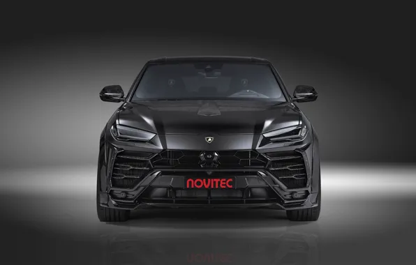 Lamborghini, crossover, Urus, Novitec, 2019, the view from