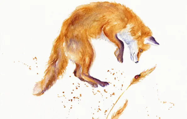 Picture ladybug, watercolor, Fox, face