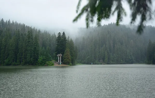 Mountains, Fog, Lake, Forest, Carpathians, Synevyr, The Carpathians mountains