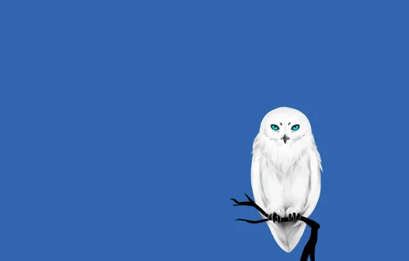 Picture tree, owl, bird, minimalism, branch, white, blue background, owl