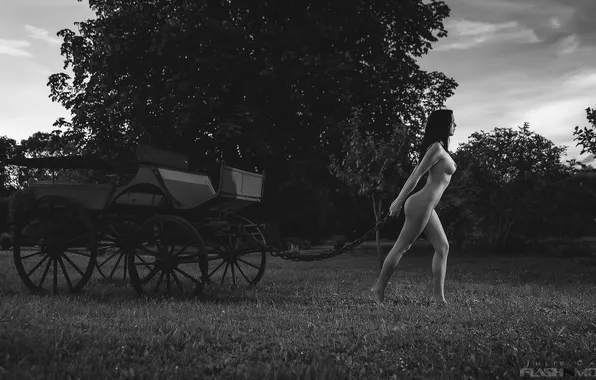 Chest, naked, Girl, wagon